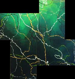 Slug Trails Of Verde