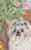 Animals_0002