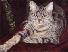 Mehitabel