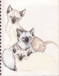 FelinesInProgress