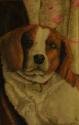 DSCN0286