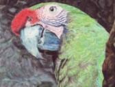 image026